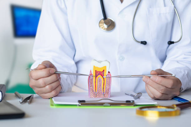 Best Cracked Tooth Emergency Dentist  in West Baraboo, WI